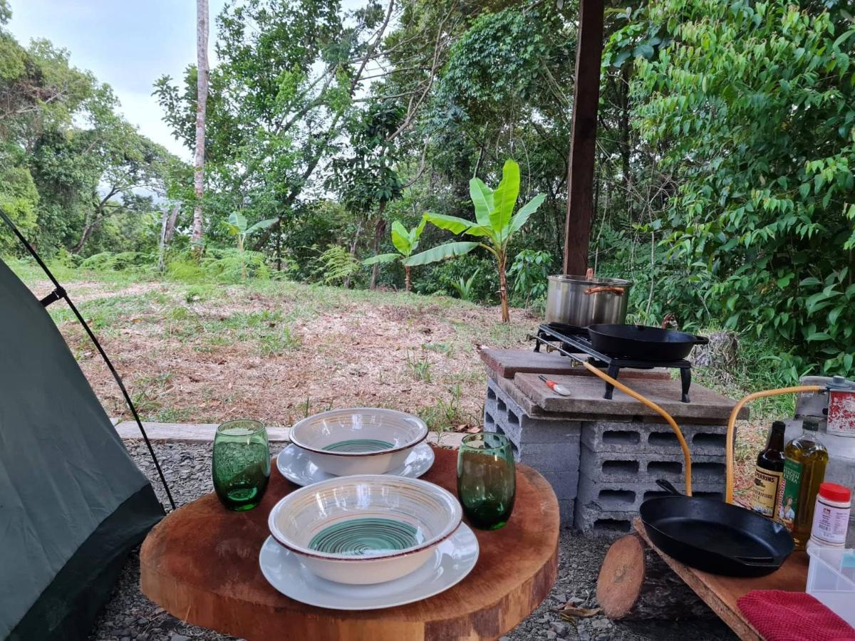 Hotel Jungle Eco Reserve à Colon Extérieur photo