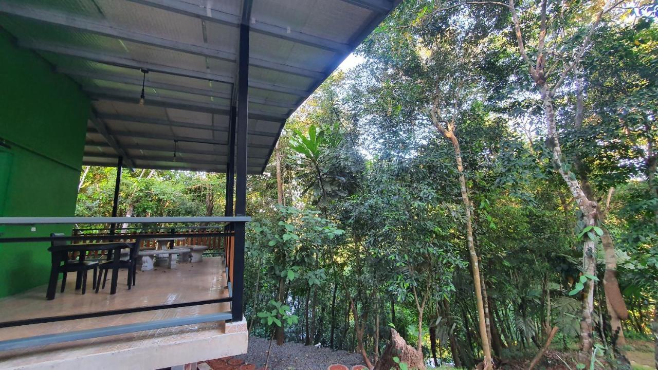 Hotel Jungle Eco Reserve à Colon Extérieur photo