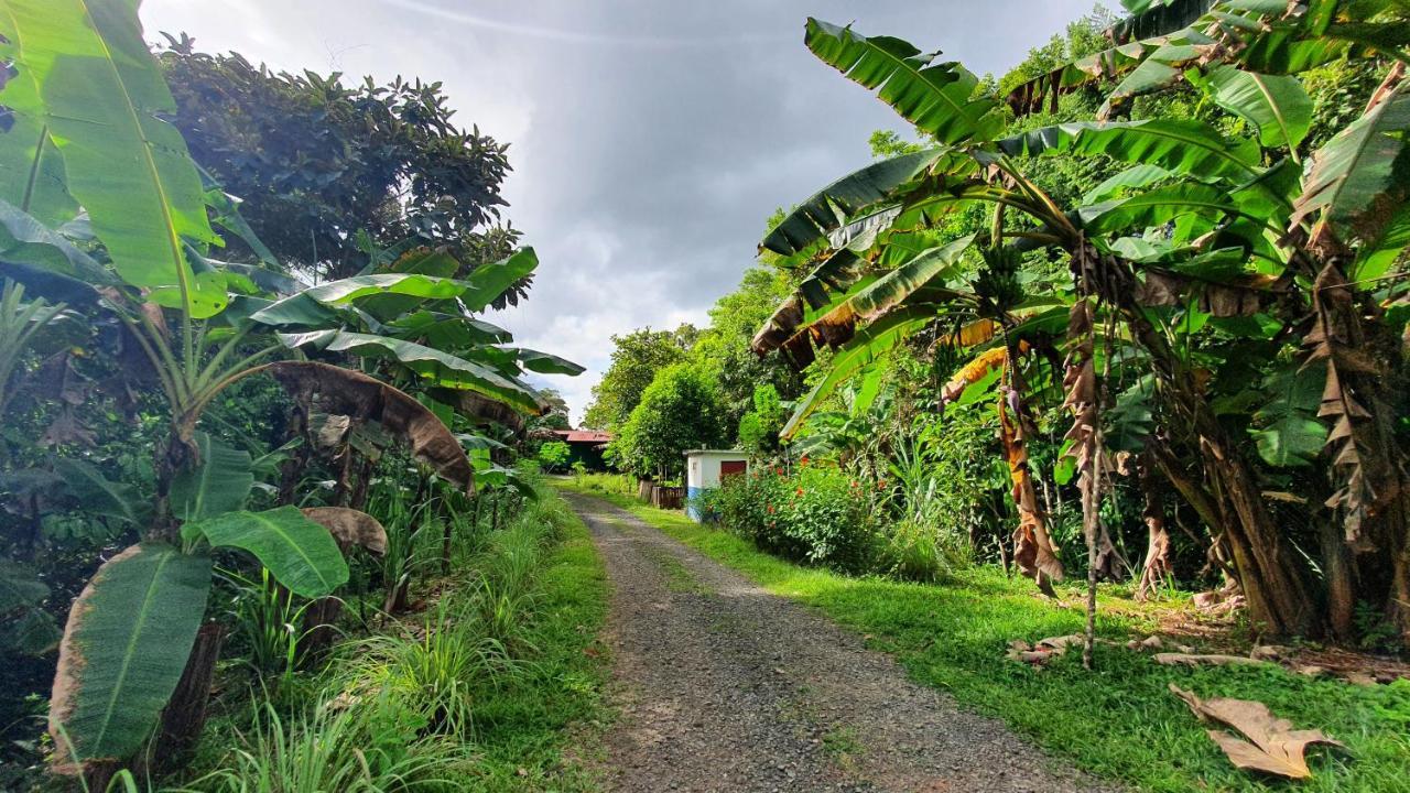 Hotel Jungle Eco Reserve à Colon Extérieur photo