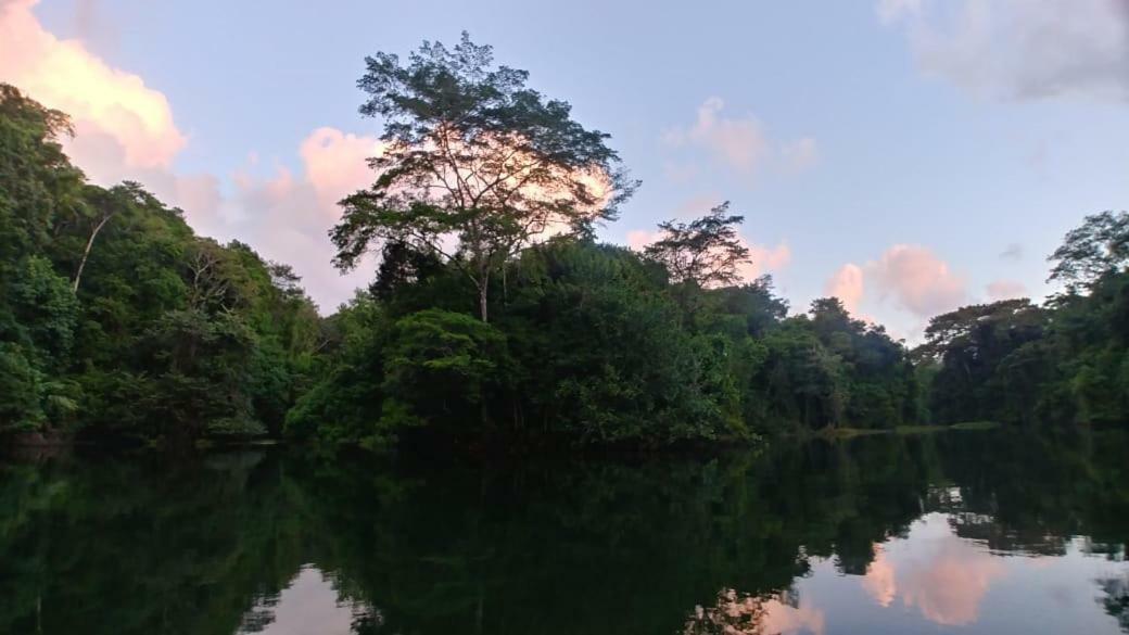 Hotel Jungle Eco Reserve à Colon Extérieur photo