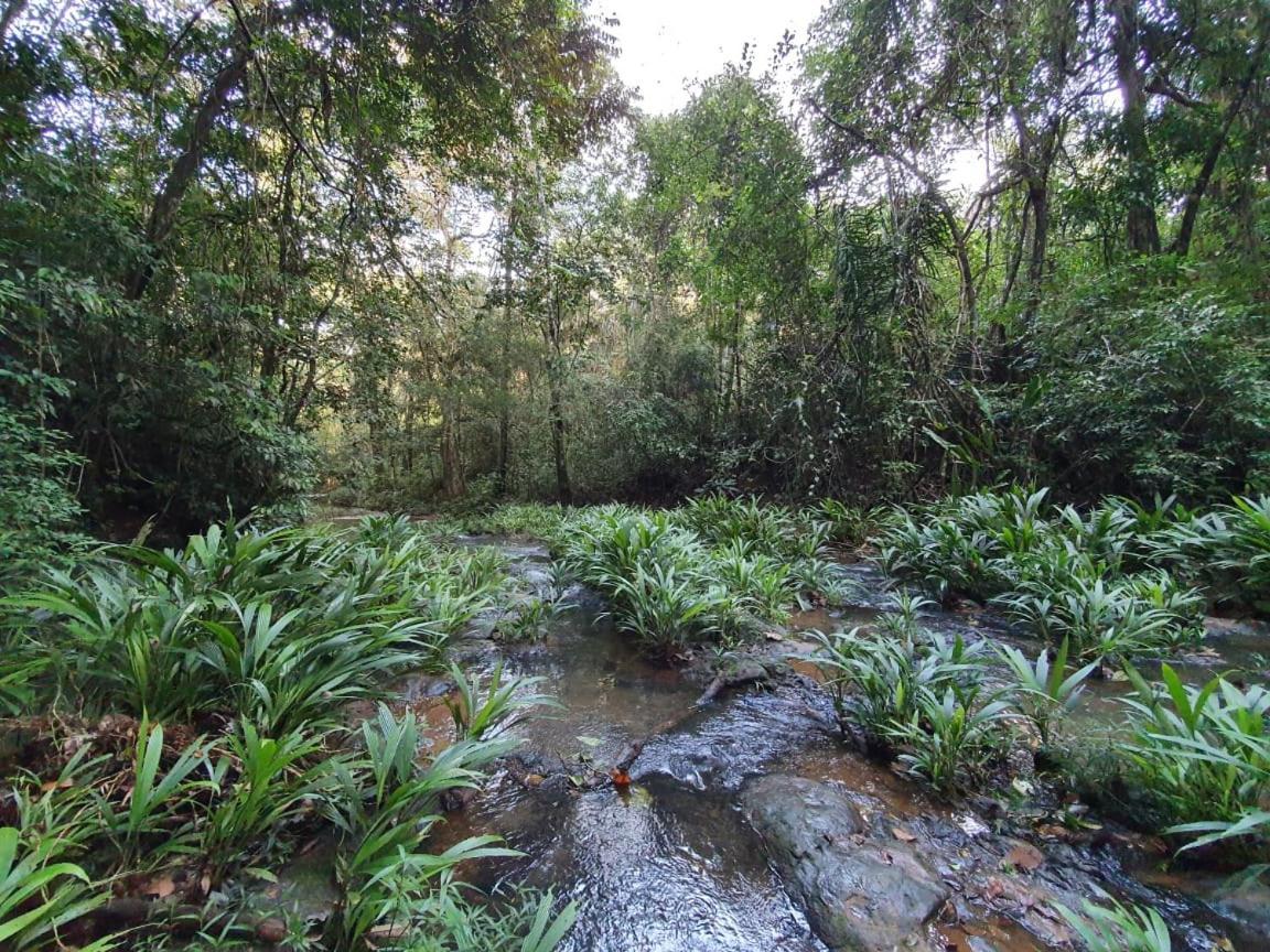 Hotel Jungle Eco Reserve à Colon Extérieur photo