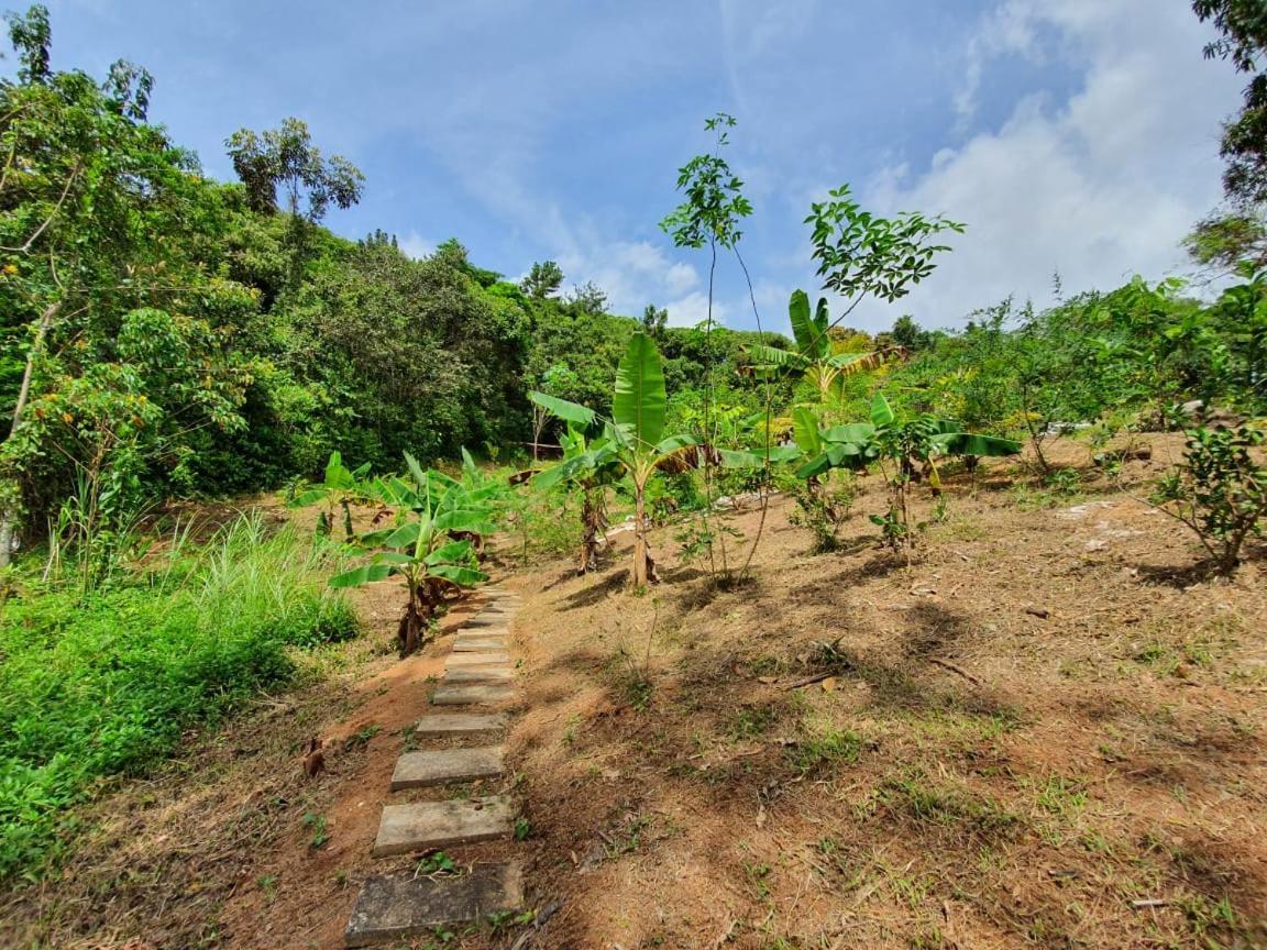 Hotel Jungle Eco Reserve à Colon Extérieur photo
